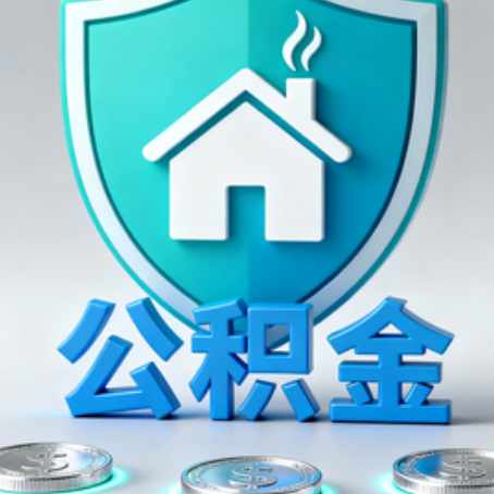 南平公积金代办行业观察：谁在提供专业服务？